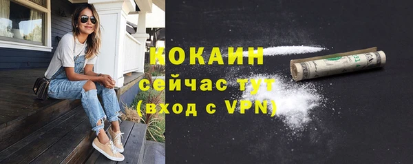 эйфоретик Вяземский
