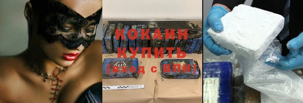 стаф Вязьма