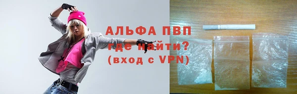 стаф Вязьма