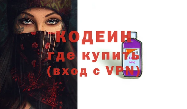 эйфоретик Вяземский