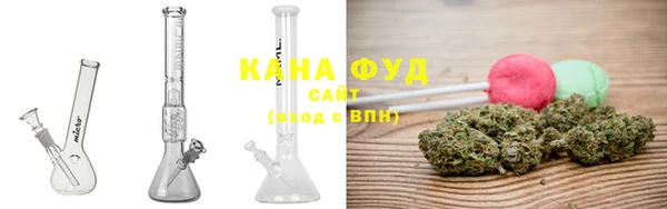 стаф Вязьма
