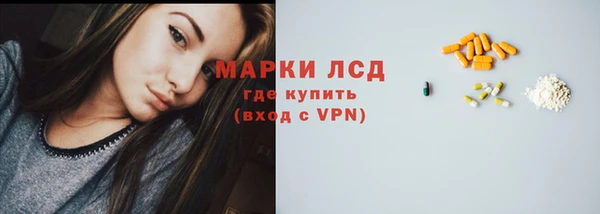 эйфоретик Вяземский