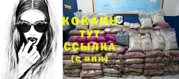 эйфоретик Вяземский