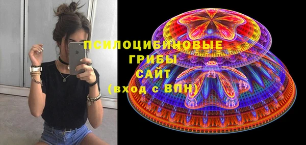 стаф Вязьма