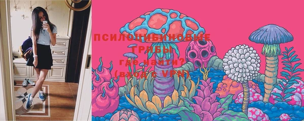амф Вязники