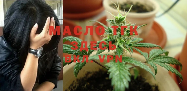 эйфоретик Вяземский