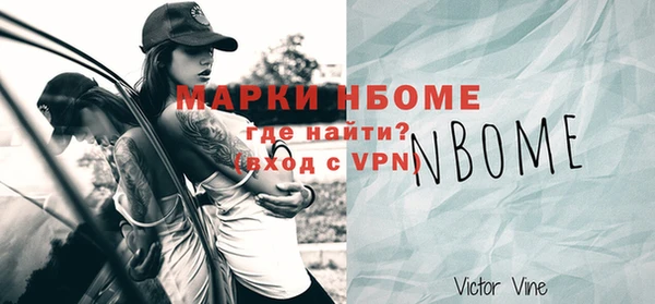 стаф Вязьма