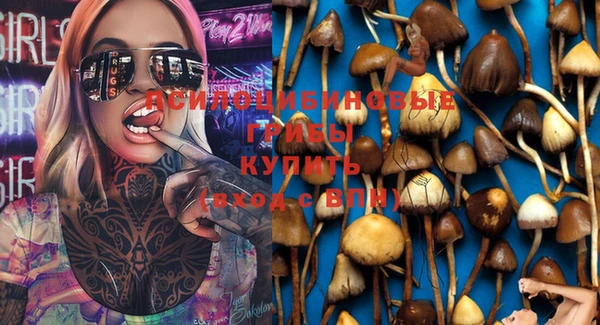 амф Вязники